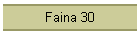 Faina 30