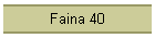 Faina 40