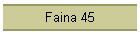 Faina 45