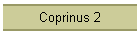 Coprinus 2