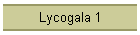 Lycogala 1
