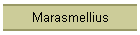 Marasmellius