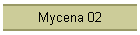 Mycena 02
