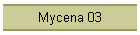 Mycena 03