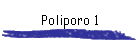 Poliporo 1
