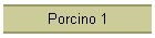 Porcino 1