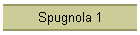 Spugnola 1