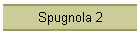 Spugnola 2