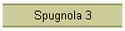 Spugnola 3