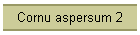 Cornu aspersum 2