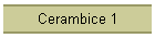 Cerambice 1