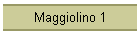 Maggiolino 1