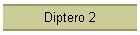 Diptero 2
