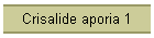 Crisalide aporia 1