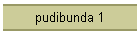 pudibunda 1