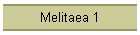 Melitaea 1