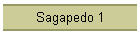 Sagapedo 1
