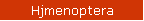 Hjmenoptera