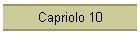 Capriolo 10