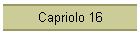 Capriolo 16