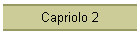 Capriolo 2