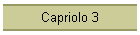 Capriolo 3