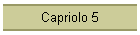 Capriolo 5
