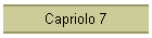 Capriolo 7