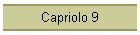 Capriolo 9
