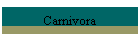 Carnivora