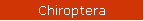 Chiroptera