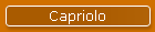 Capriolo