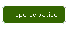 Topo selvatico