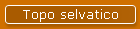 Topo selvatico