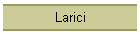 Larici
