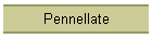 Pennellate
