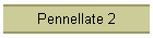 Pennellate 2