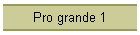 Pro grande 1