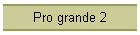 Pro grande 2