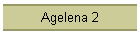 Agelena 2