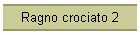 Ragno crociato 2