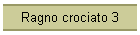 Ragno crociato 3