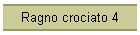 Ragno crociato 4