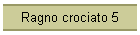 Ragno crociato 5
