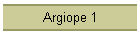 Argiope 1
