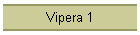 Vipera 1