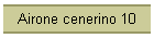 Airone cenerino 10