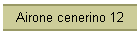 Airone cenerino 12