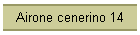 Airone cenerino 14
