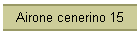 Airone cenerino 15